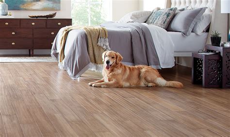 bamboo wood flooring with dogs